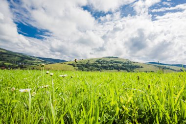 Taze yeşil çayırlar ile dağlardaki Idyllic manzarası