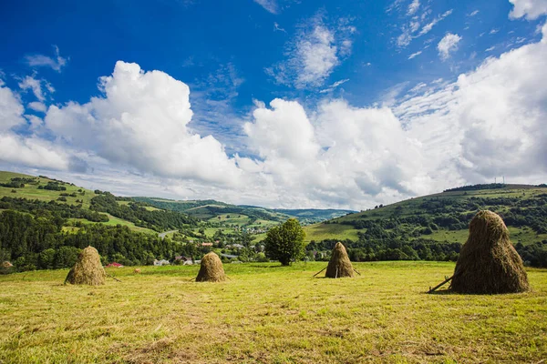 Taze yeşil çayırlar ile dağlardaki Idyllic manzarası — Stok fotoğraf