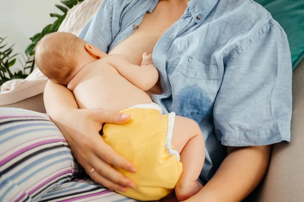 自宅で居心地の良いアームチェアで快適で静かな母乳育児 — ストック写真