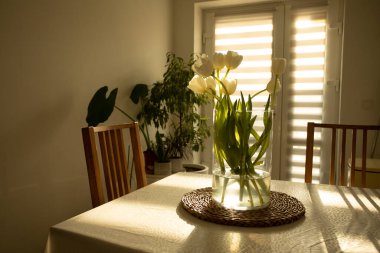 Bahar çiçekleri - ahşap masada cam vazoda beyaz laleler