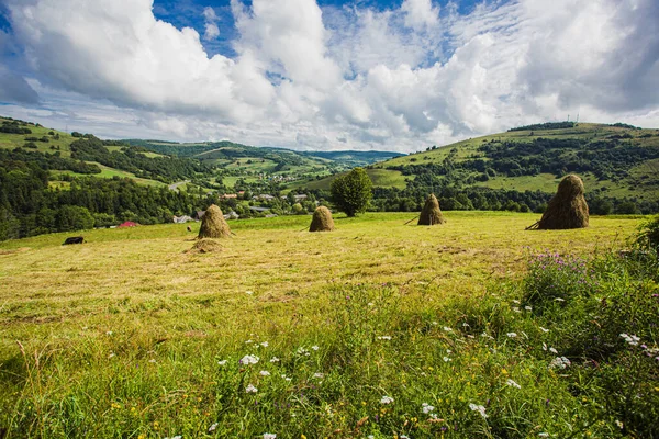 Αγροτική haystacks στα χωράφια στα βουνά — Φωτογραφία Αρχείου