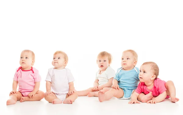 Five babies isolated isolated on white background — 스톡 사진