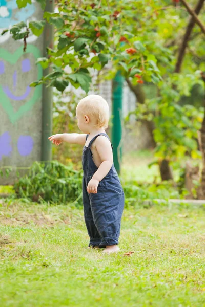 这个可爱的小男孩兴致勃勃地走在夏日的花园里 — 图库照片