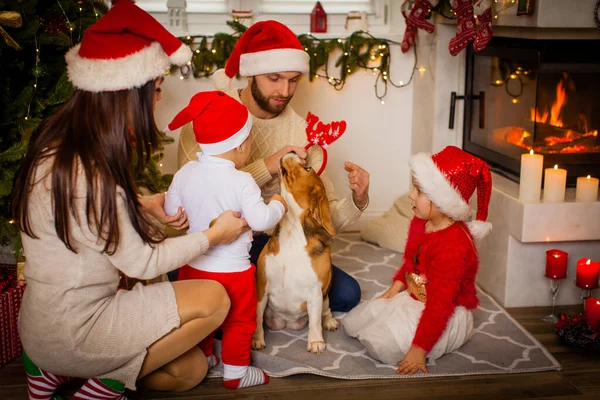 Lycklig familj med hund beagle väntar på julen — Stockfoto
