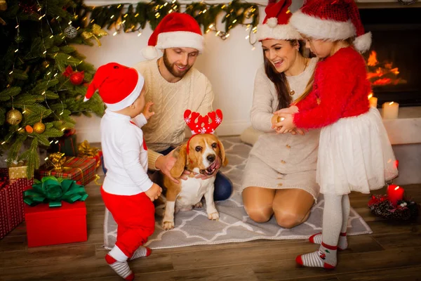 Lycklig familj med hund beagle väntar på julen — Stockfoto