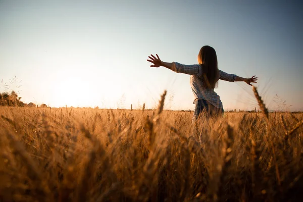 Rückenansicht Frau Mit Langen Haaren Feld Bei Sonnenuntergang Die Hände — Stockfoto