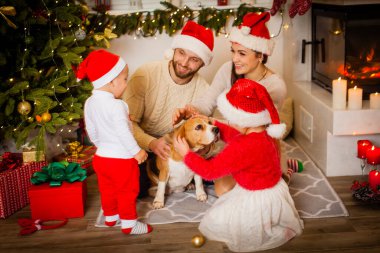 Mutlu Noeller ve mutlu yıllar. Köpekli mutlu aile Noel Baba şapkalarıyla Noel 'i bekliyor.