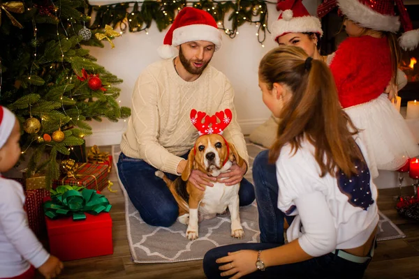 Merry Christmas Happy New Year Happy Family Dog Beagle Waiting — Stockfoto