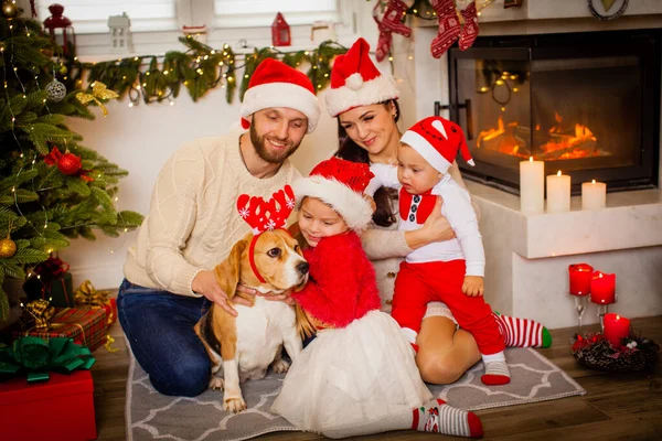 一家人带着小狗坐在漂亮的圣诞树旁 一边戴着圣诞老人的帽子 一边等着圣诞节的到来 — 图库照片