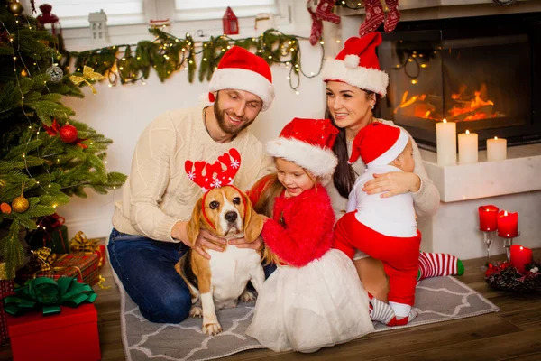 Köpekli mutlu aile Noel Baba şapkalarıyla Noel 'i beklerken evde güzel bir Noel ağacının yanında oturuyorlar..
