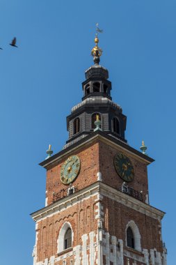 krakow ana Meydanı Belediye kule
