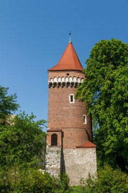 wawel, krakow, Royal castle