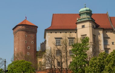 wawel, krakow, Royal castle