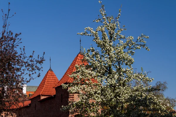 Sehenswürdigkeiten Polens. Warschauer Altstadt mit Barbaren aus der Renaissance — Stockfoto