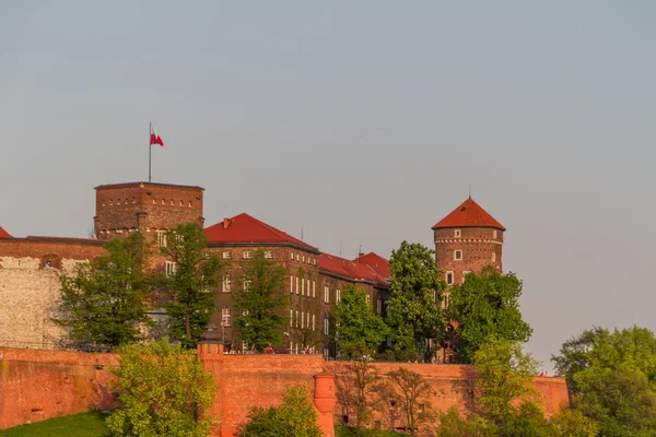 Castillo real en Wawel, Krarow — Foto de Stock