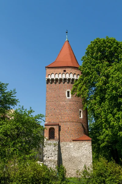 皇家城堡在瓦维尔，克拉科夫 — 图库照片
