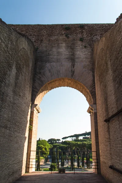 Колізей у ромі, італю. — стокове фото