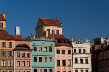 atlar, vektör