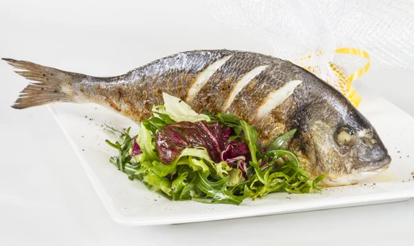 Peixe Dorada com salada no prato branco. Estúdio — Fotografia de Stock