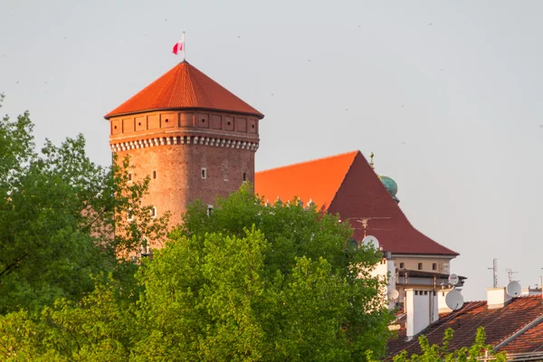 皇家城堡在瓦维尔，krarow — 图库照片