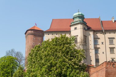 wawel, krakow, Royal castle