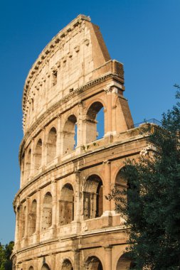 Roma 'da kolezyum, İtalya