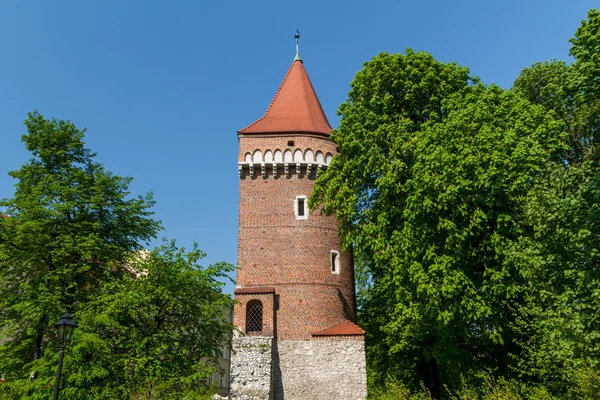 Királyi vár a Wawel, Krakkó — Stock Fotó