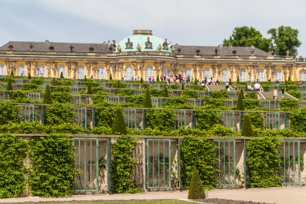 Schloss sanssouci w Poczdamie, Niemcy — Zdjęcie stockowe