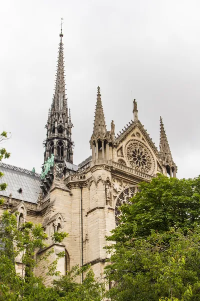 Notre Dame (Paryż) — Zdjęcie stockowe