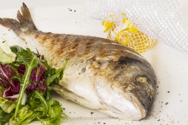 Beyaz tabak salata ile Dorada balık. Stüdyo vurdu