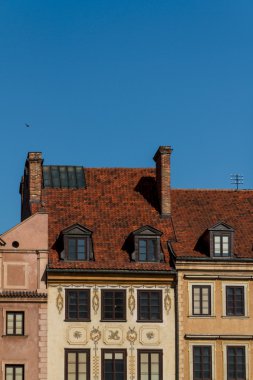 atlar, vektör