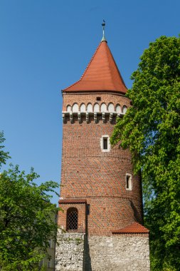 wawel, krakow, Royal castle