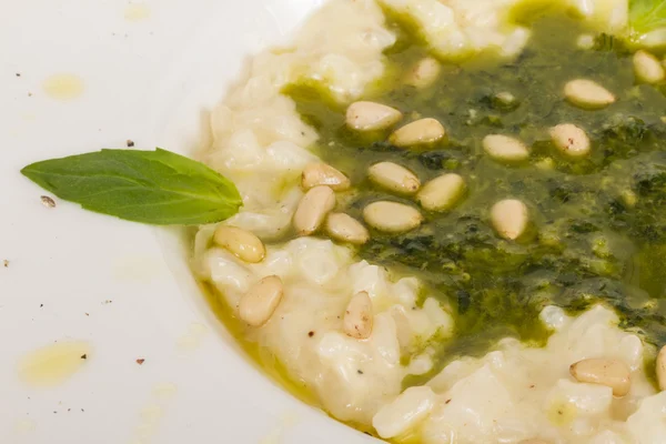 Photo of delicious risotto dish with herbs and cedar nut on whit — Stock Photo, Image