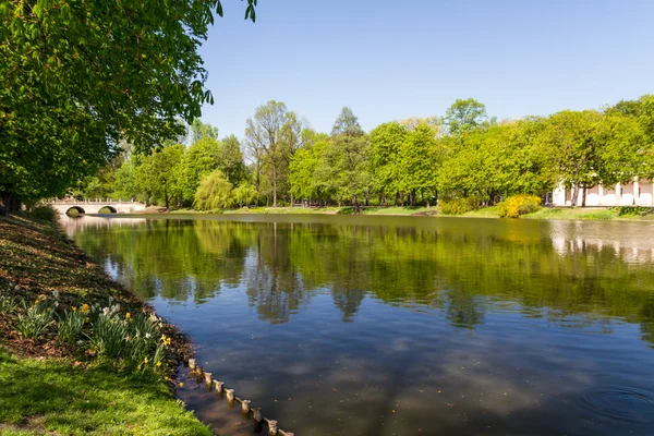 Lato park, drzewa — Zdjęcie stockowe