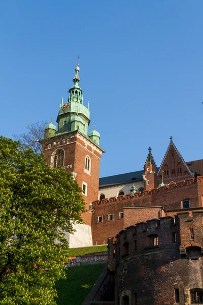 A Krarow, a Wawel királyi vár — Stock Fotó