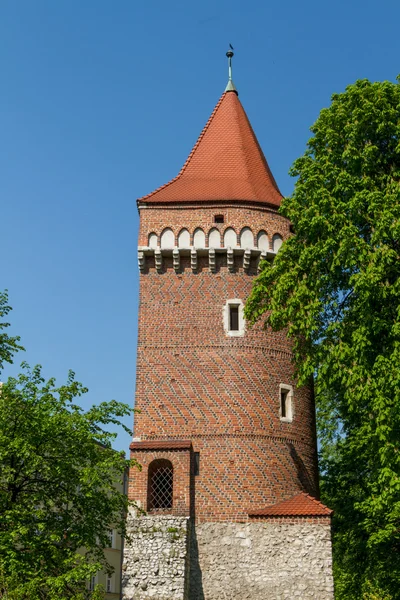 Королівський замок Вавель, Краків, у — стокове фото