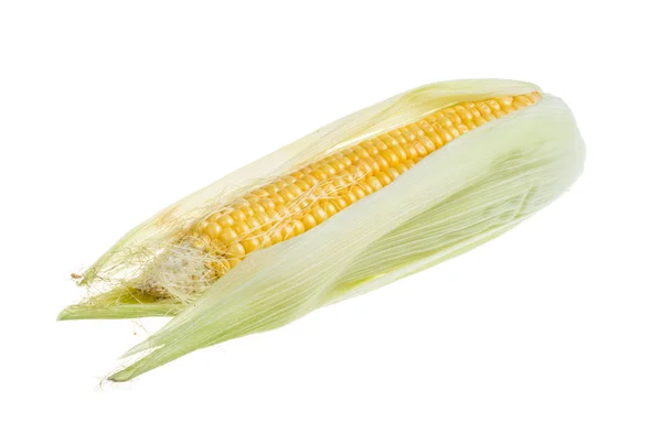 Mazorca de maíz fresco crudo aislado en el blanco —  Fotos de Stock