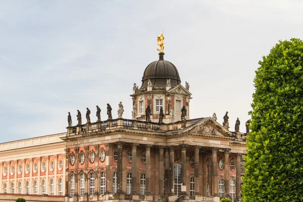 En av universitetets byggnader av potsdam — Stockfoto