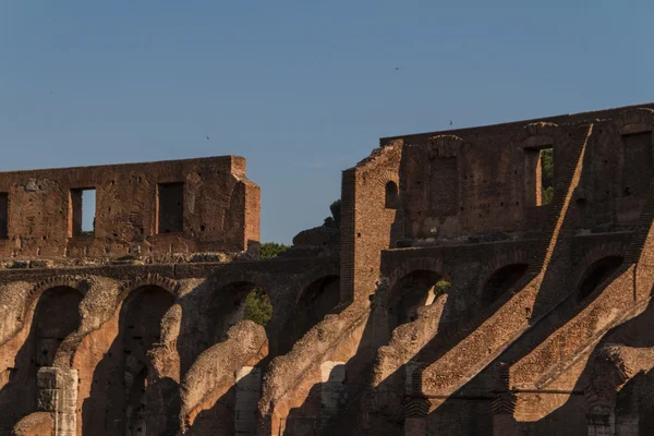 Kolosseum in rom, italien — Stockfoto