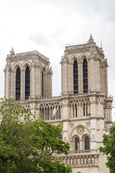 Notre Dame (Paris) — Fotografia de Stock