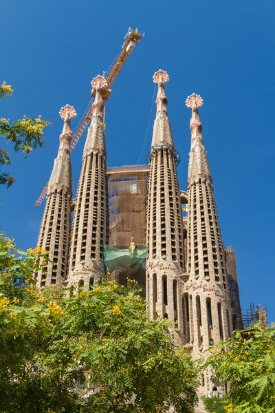 Барселона, Іспанія-25 червня: Храм Святого Сімейства 25 червня 2012 року: ла — стокове фото
