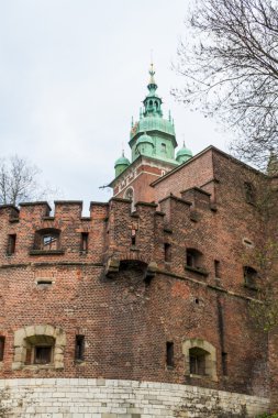 wawel, krakow, Royal castle