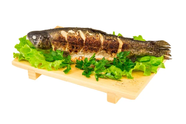 Roasted striped sea bass — Stock Photo, Image