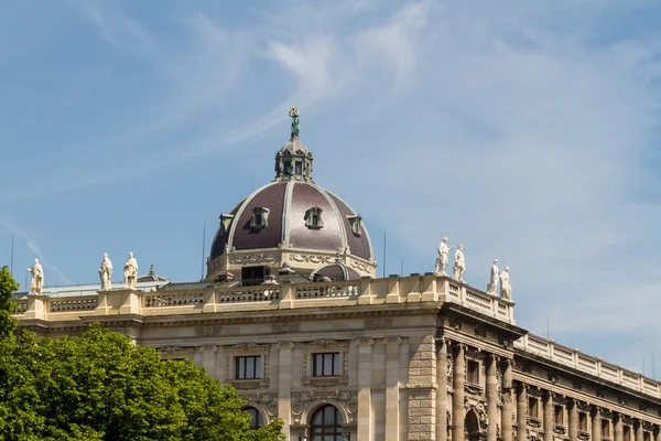 Muzeum přírodní historie, Vídeň — Stock fotografie