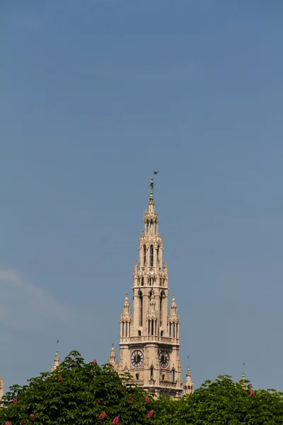 Viyana Belediye Binası - town hall — Stok fotoğraf