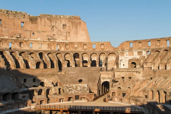 Colosseum in Rome, Italië — Stockfoto