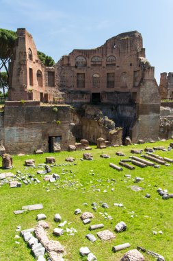 Roma harabeleri, forum