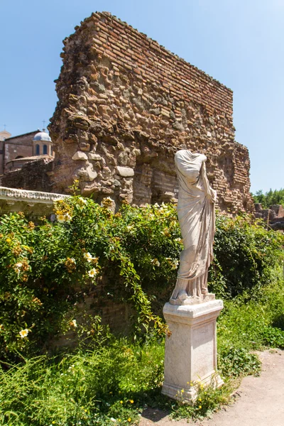 Roman ruins in Rome, Forum — Stock Photo, Image