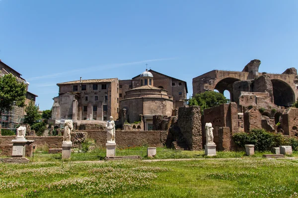 Római romok Rómában, fórum — Stock Fotó