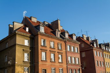 atlar, vektör